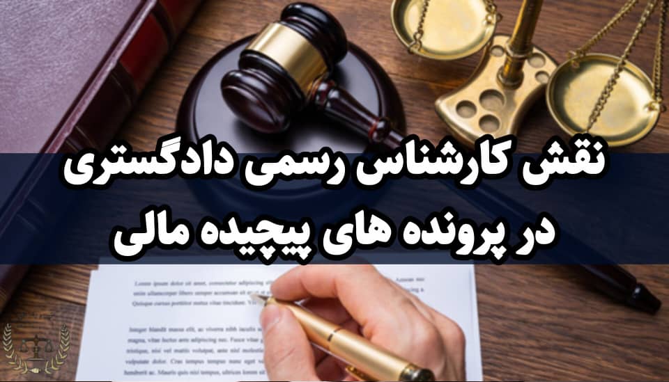 نقش کارشناسان رسمی دادگستری در پرونده‌های پیچیده مالی - کارپردازان